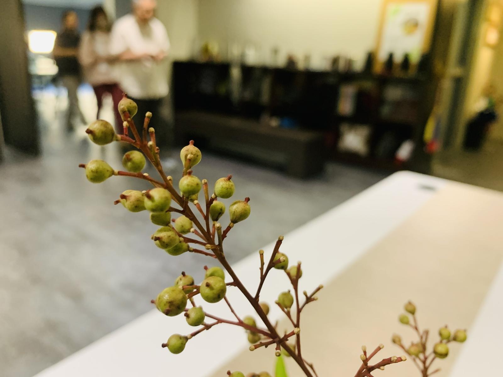 第五講: 善解包容做好人際關係